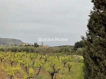 Οικιστικό 1219τ.μ. προς πώληση φωτογραφία 5377850