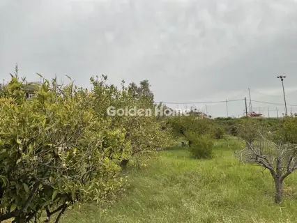 Οικιστικό 1219τ.μ. προς πώληση φωτογραφία 5377853