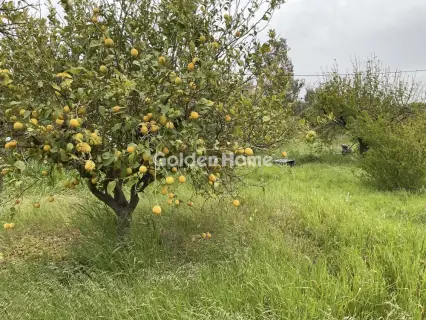 Οικιστικό 1219τ.μ. προς πώληση φωτογραφία 5377854