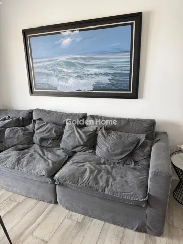 房子 290m<sup>2</sup> for rent photo 41