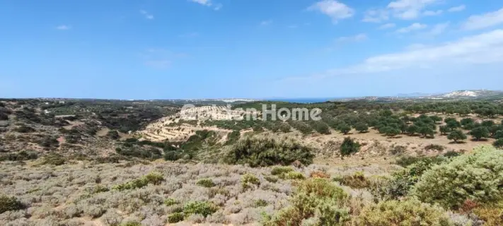 Επαγγελ. Οικόπεδο 144000τ.μ. προς πώληση φωτογραφία 5384223