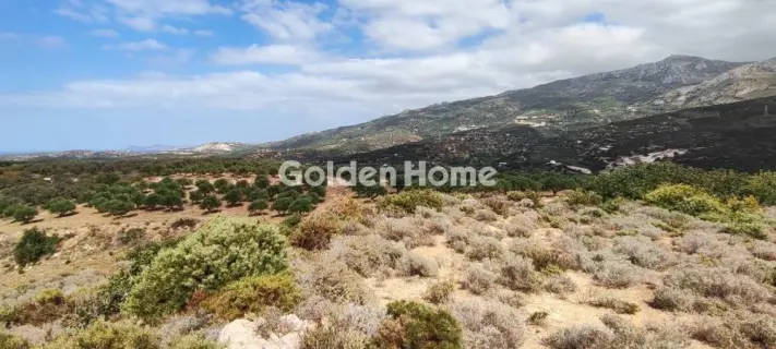 Επαγγελ. Οικόπεδο 144000τ.μ. προς πώληση φωτογραφία 5384226