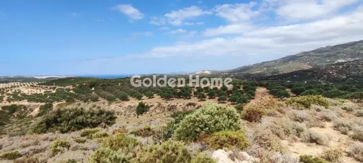 Επαγγελ. Οικόπεδο 144000τ.μ. προς πώληση φωτογραφία 5384228