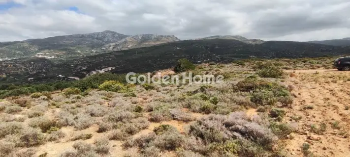 Επαγγελ. Οικόπεδο 144000τ.μ. προς πώληση φωτογραφία 5384224