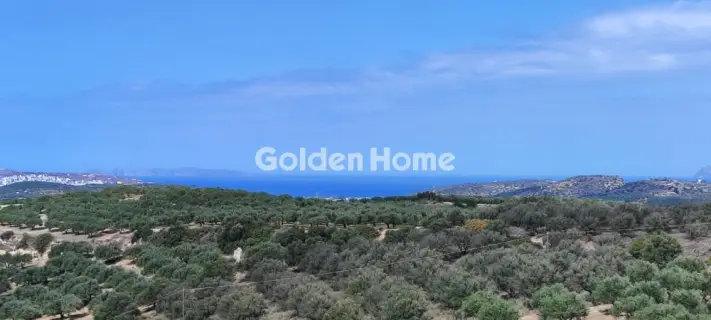 Επαγγελ. Οικόπεδο 144000τ.μ. προς πώληση φωτογραφία 5384225