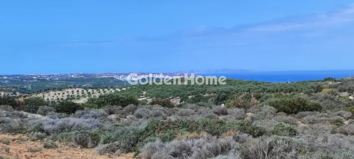 Επαγγελ. Οικόπεδο 144000τ.μ. προς πώληση φωτογραφία 5384238