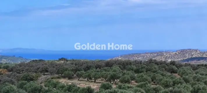 Επαγγελ. Οικόπεδο 144000τ.μ. προς πώληση φωτογραφία 5384245