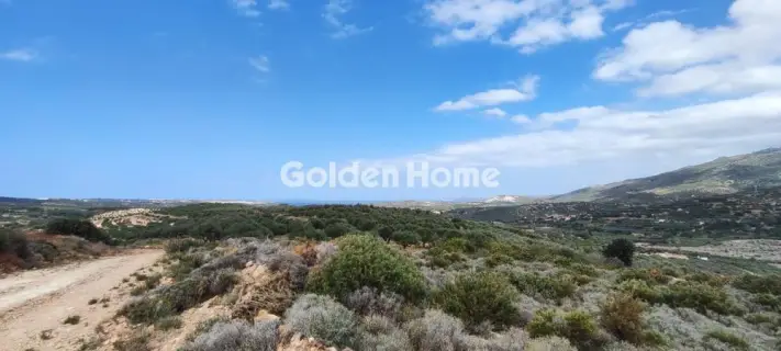 Επαγγελ. Οικόπεδο 144000τ.μ. προς πώληση φωτογραφία 5384250