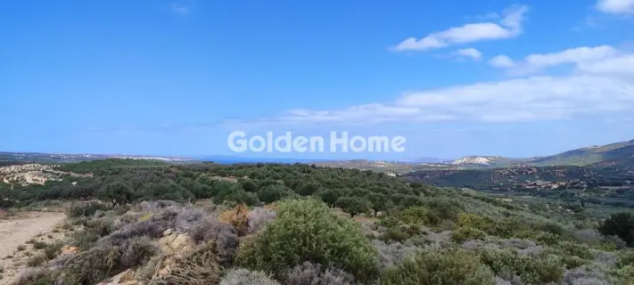 Επαγγελ. Οικόπεδο 144000τ.μ. προς πώληση φωτογραφία 5384252