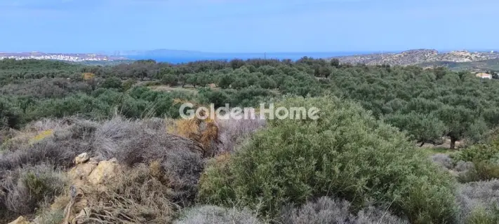 Επαγγελ. Οικόπεδο 144000τ.μ. προς πώληση φωτογραφία 5384253