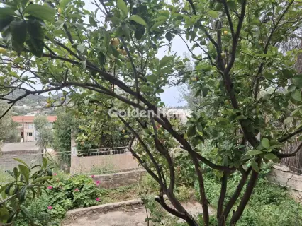 Οροφοδιαμέρισμα 65τ.μ. προς ενοικίαση φωτογραφία 16