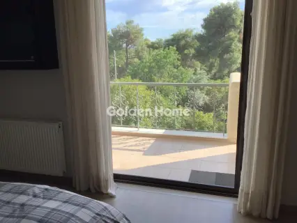 Μονοκατοικία 250τ.μ. προς πώληση φωτογραφία 16