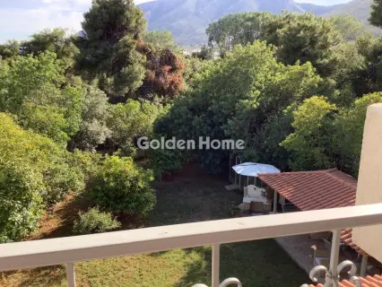 Μονοκατοικία 250τ.μ. προς πώληση φωτογραφία 1