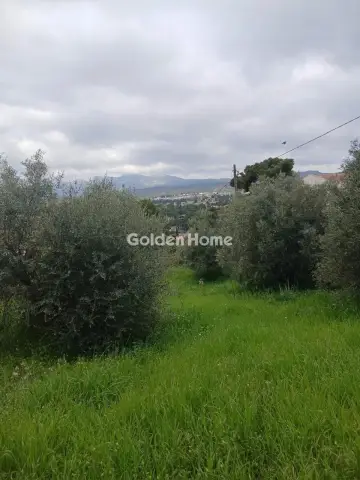 Residential 500m<sup>2</sup> for sale photo 5384968