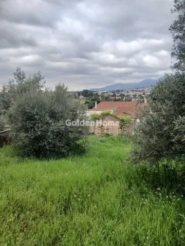 Residential 500m<sup>2</sup> for sale photo 5384970