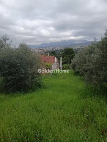 Residential 500m<sup>2</sup> for sale photo 1