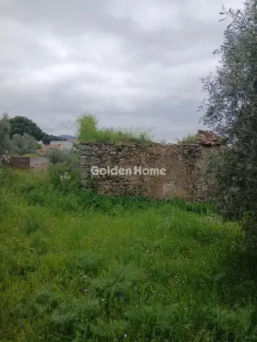 Residential 500m<sup>2</sup> for sale photo 5384971