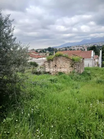 Residential 500m<sup>2</sup> for sale photo 5384967