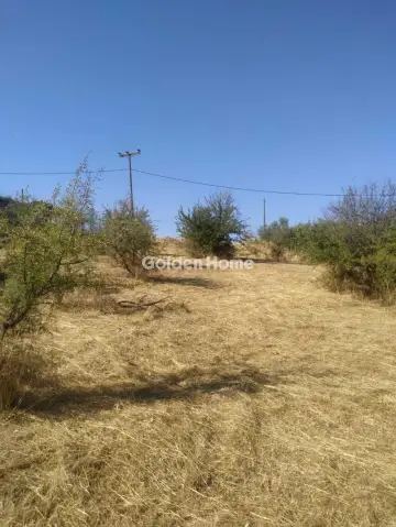 Residential 823m<sup>2</sup> for sale photo 5380584