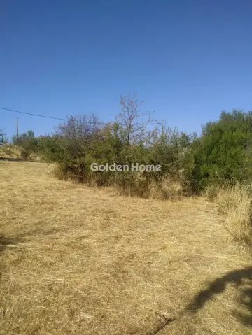 Residential 823m<sup>2</sup> for sale photo 5380584