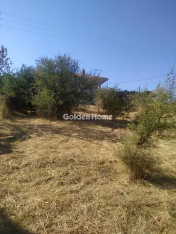 Residential 823m<sup>2</sup> for sale photo 5380584