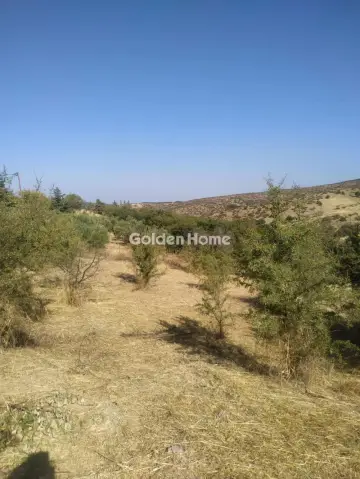 Residential 823m<sup>2</sup> for sale photo 5380585