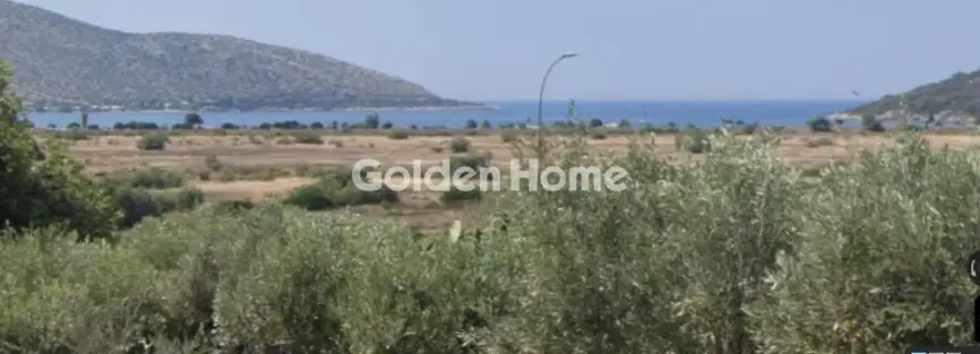 House 103m<sup>2</sup> for rent photo 15