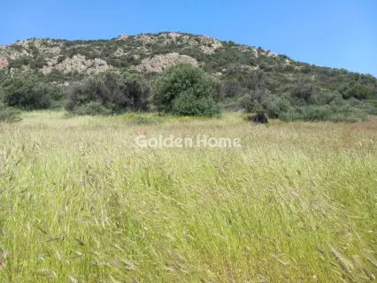 Parcel 5025m<sup>2</sup> for sale photo 9