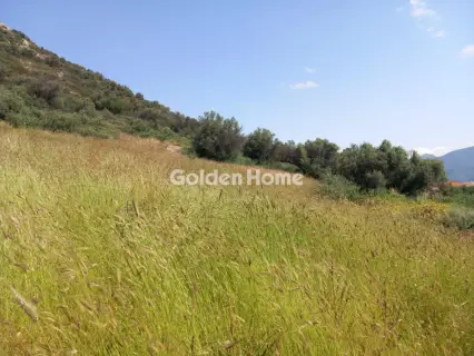 Parcel 5469m<sup>2</sup> for sale photo 3