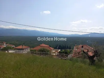 Parcel 5469m<sup>2</sup> for sale photo 6