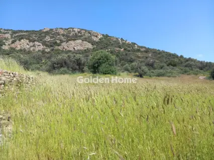 Parcel 5469m<sup>2</sup> for sale photo 8