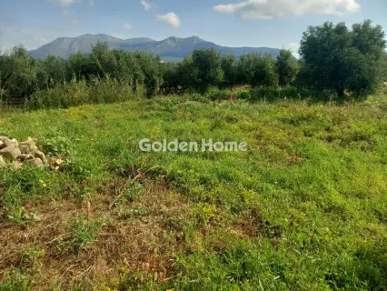 Οικιστικό 267τ.μ. προς πώληση φωτογραφία 2