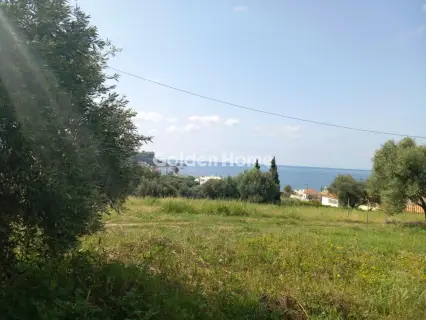 Οικιστικό 267τ.μ. προς πώληση φωτογραφία 5