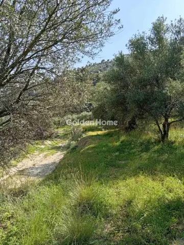 Parcel 2000m<sup>2</sup> for sale photo 5385522