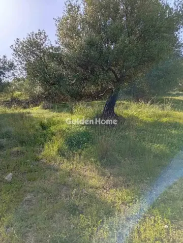 Parcel 2000m<sup>2</sup> for sale photo 5385523