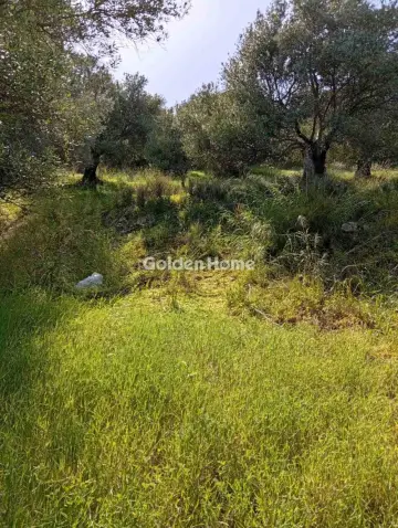 Parcel 2000m<sup>2</sup> for sale photo 5385524