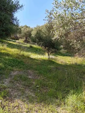 Parcel 2000m<sup>2</sup> for sale photo 5385525