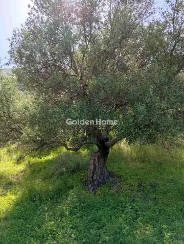 Parcel 2000m<sup>2</sup> for sale photo 5385526