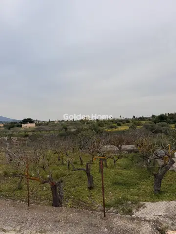 Residential 1340m<sup>2</sup> for sale photo 8