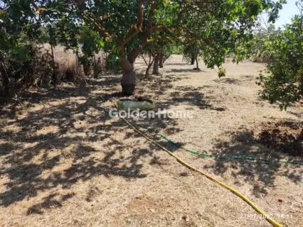 House 53m<sup>2</sup> for sale photo 21