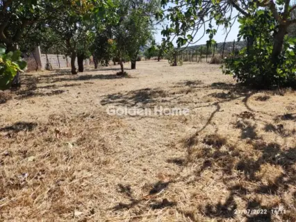 House 53m<sup>2</sup> for sale photo 22