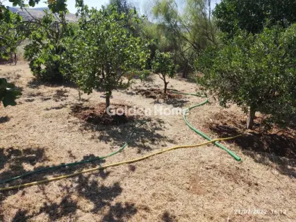 House 53m<sup>2</sup> for sale photo 31