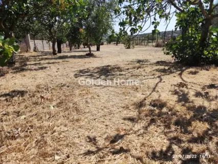 House 53m<sup>2</sup> for sale photo 27