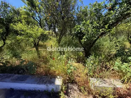 Building 160m<sup>2</sup> for sale photo 71