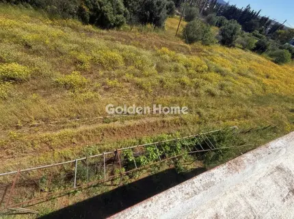 Κτίριο 160τ.μ. προς πώληση φωτογραφία 58