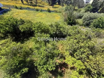 Building 160m<sup>2</sup> for sale photo 59