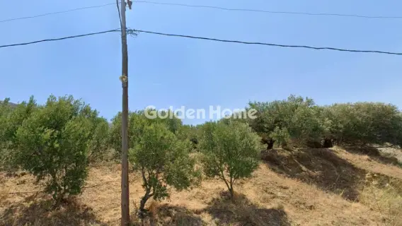 Residential 560m<sup>2</sup> for sale photo 5448178