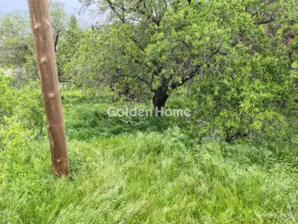 Residential 171m<sup>2</sup> for sale photo 5380845