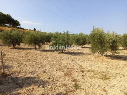 Residential 1581m<sup>2</sup> for sale photo 1