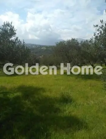 Residential 1581m<sup>2</sup> for sale photo 2